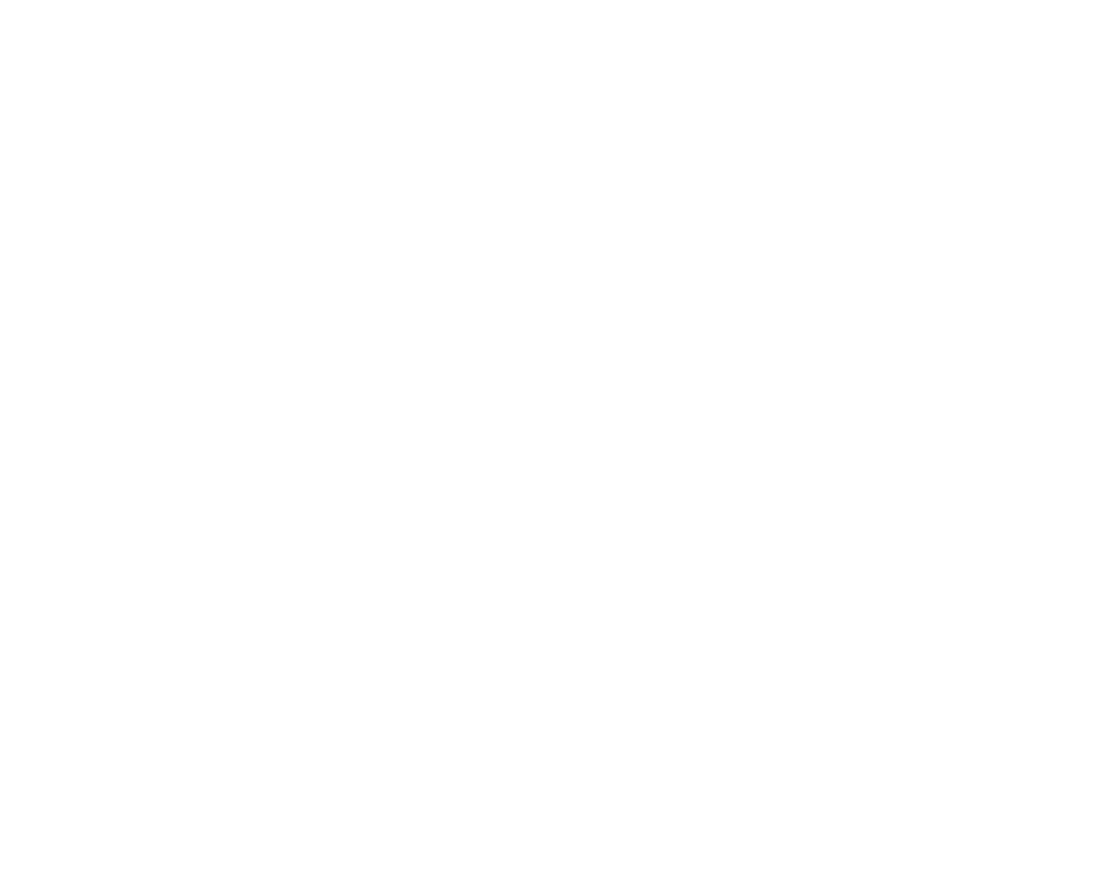 Jackass Burrito PHL